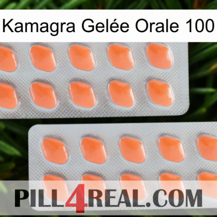 Kamagra Gelée Orale 100 27